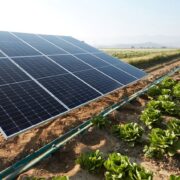 Drip irrigation and solar panel