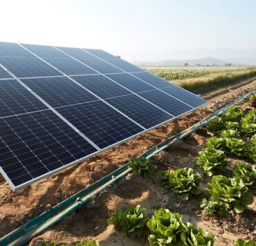 Drip irrigation and solar panel
