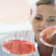 NP ROVI confia en Atos para el outsourcing de sus sistemas IT y para la gestion del puesto de trabajo