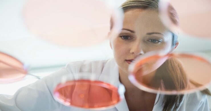 NP ROVI confia en Atos para el outsourcing de sus sistemas IT y para la gestion del puesto de trabajo