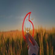 Vodafone España firma un acuerdo de acceso mayorista a su red con Finetwork