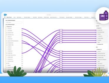 Consumer Goods Cloud 20240625