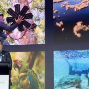 Tao Jingwen Tech4Nature Summit c