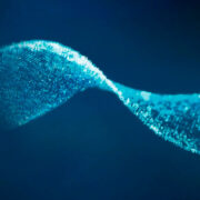 Ingeniería biológica: ha llegado el momento