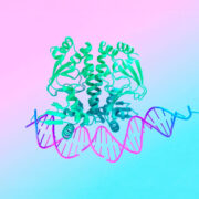 Deepmind AlphaFold 3