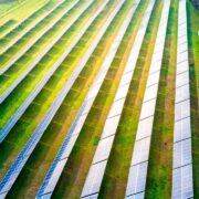 Solo el 21% de las empresas utiliza tecnología para estrategias de sostenibilidad