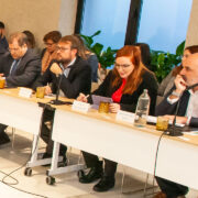 Aplicación de los informes Draghi y Letta