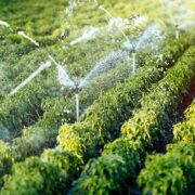 Regadíos inteligentes