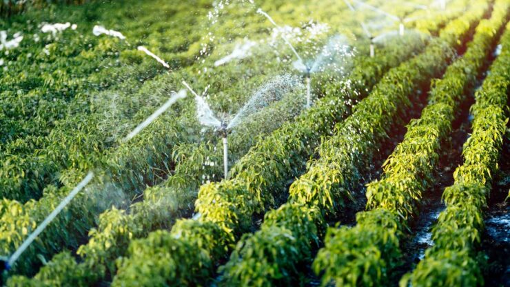 Regadíos inteligentes