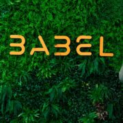 Begoña Alonso - Babel