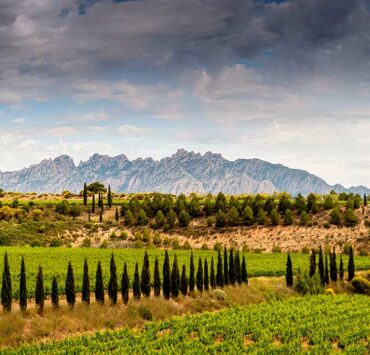 Juvé & Camps digitaliza la gestión de proyectos con la plataforma 3DEXPERIENCE de Dassault Systèmes