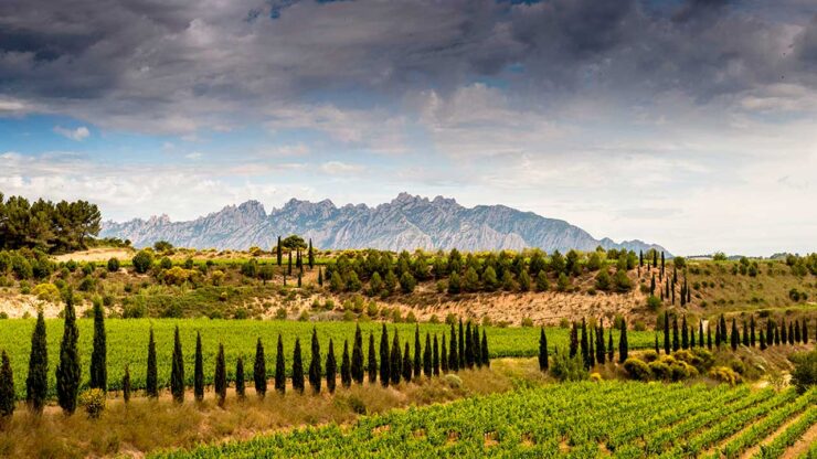 Juvé & Camps digitaliza la gestión de proyectos con la plataforma 3DEXPERIENCE de Dassault Systèmes