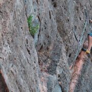 Tech4Nature aplica tecnología en Sierra Nevada y Sant Llorenç
