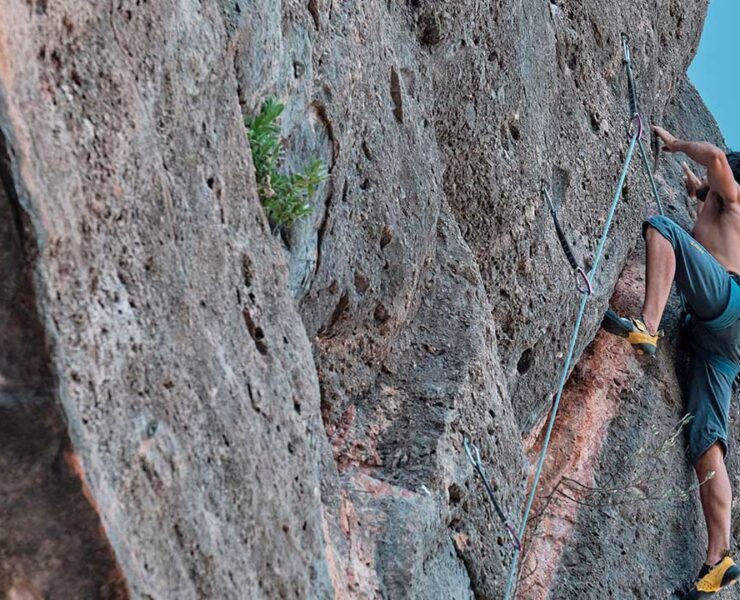Tech4Nature aplica tecnología en Sierra Nevada y Sant Llorenç