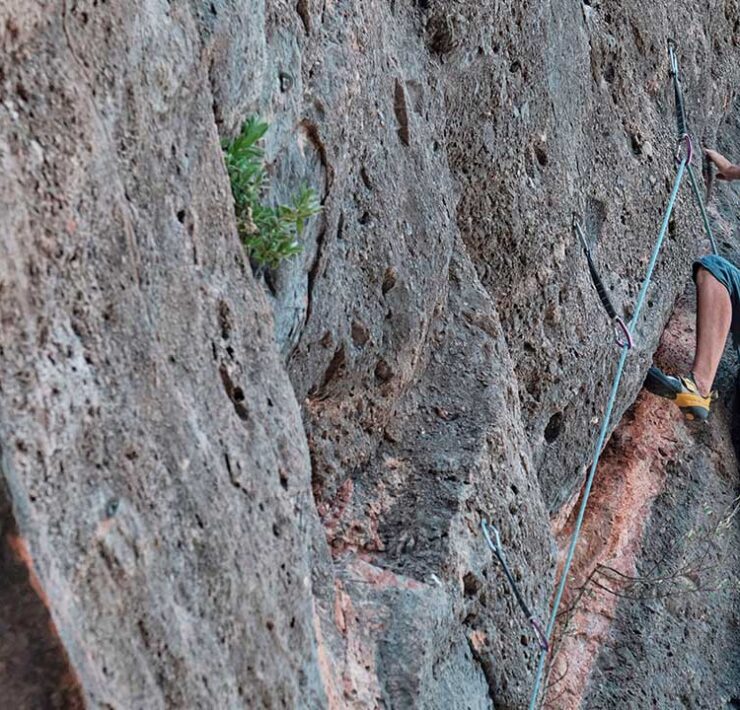 Tech4Nature aplica tecnología en Sierra Nevada y Sant Llorenç