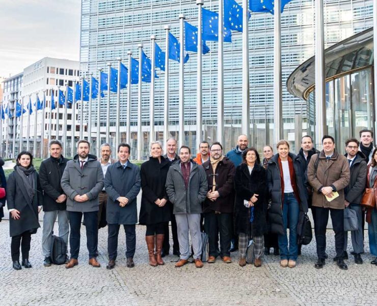 Dieciséis regiones piden a la UE salvar la industria renovable