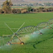 Regadío inteligencia artificial