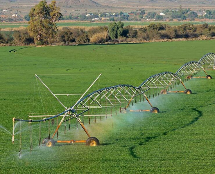 Regadío inteligencia artificial