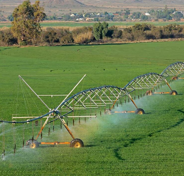 Regadío inteligencia artificial