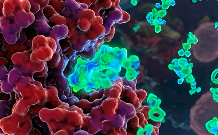 Computación cuántica y oncología