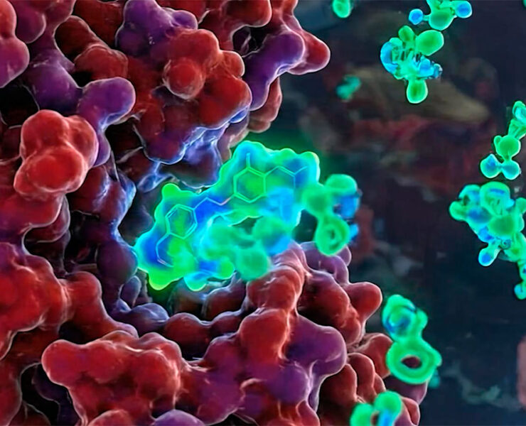 Computación cuántica y oncología