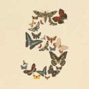 Anthropic Claude Fable 5