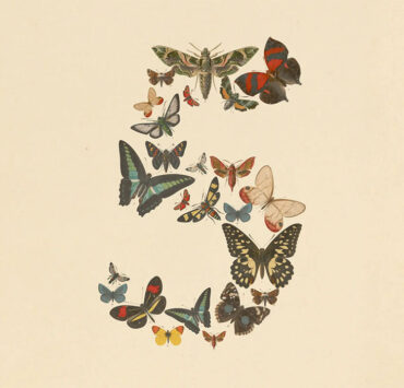 Anthropic Claude Fable 5