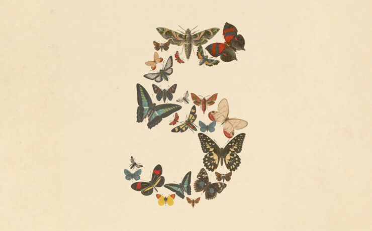 Anthropic Claude Fable 5