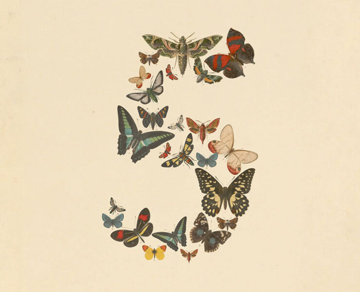 Anthropic Claude Fable 5