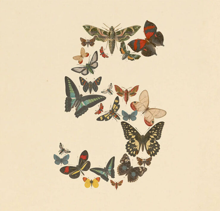 Anthropic Claude Fable 5