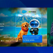 Salesforce Koa