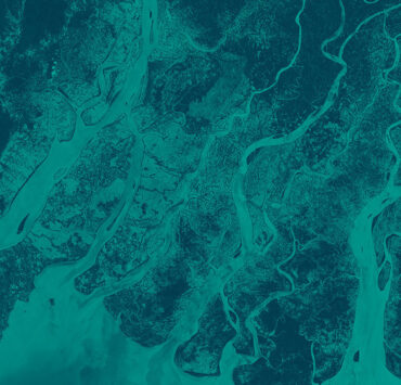 ESA - Digital Earth Observation