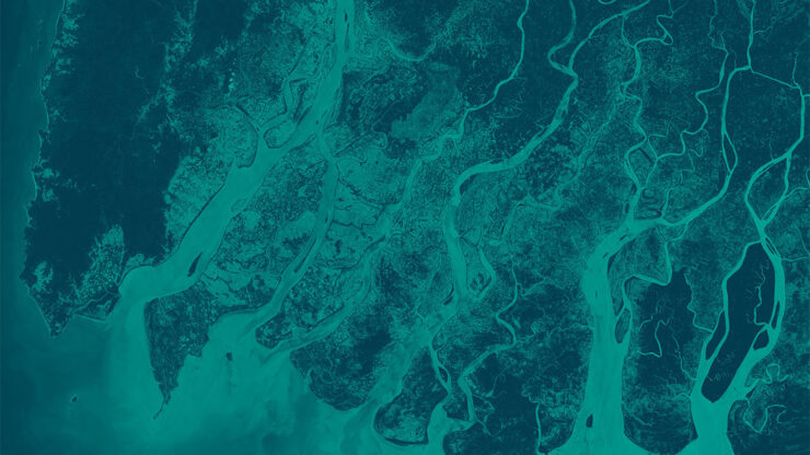 ESA - Digital Earth Observation