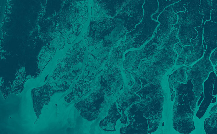 ESA - Digital Earth Observation