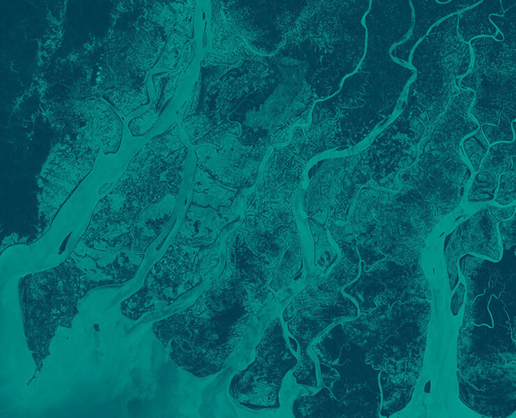 ESA - Digital Earth Observation