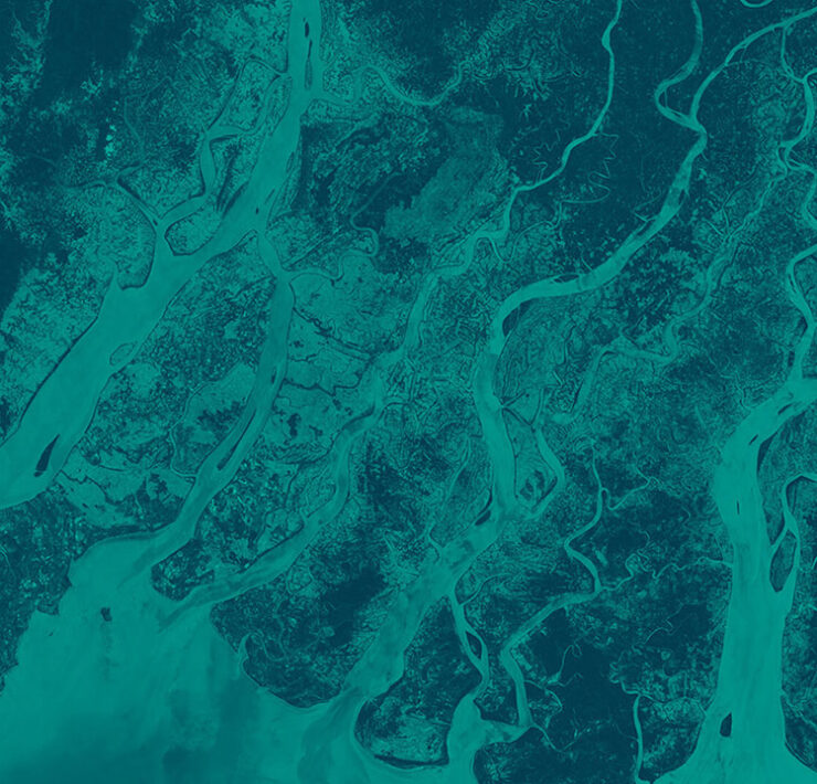 ESA - Digital Earth Observation