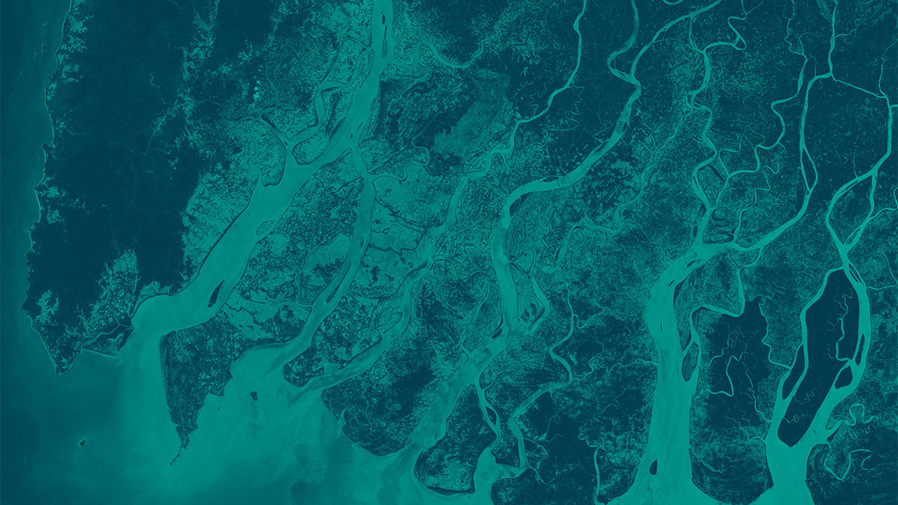 ESA - Digital Earth Observation